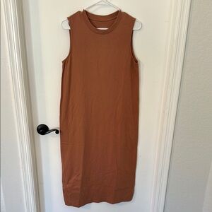 Everlane Sleeveless Brown Dress